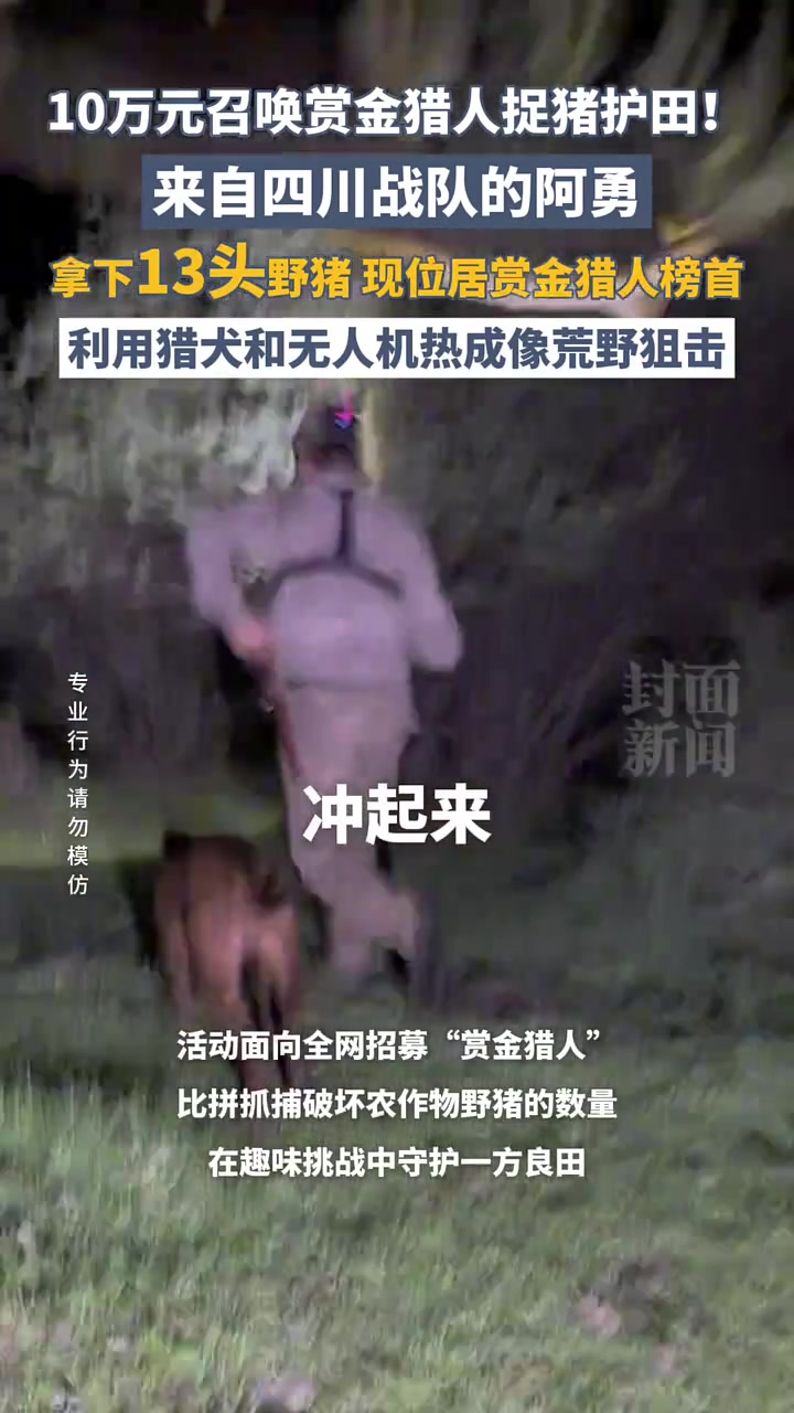 10万元召唤赏金猎人捉猪护田！利用猎犬和无人机热成像荒野狙击