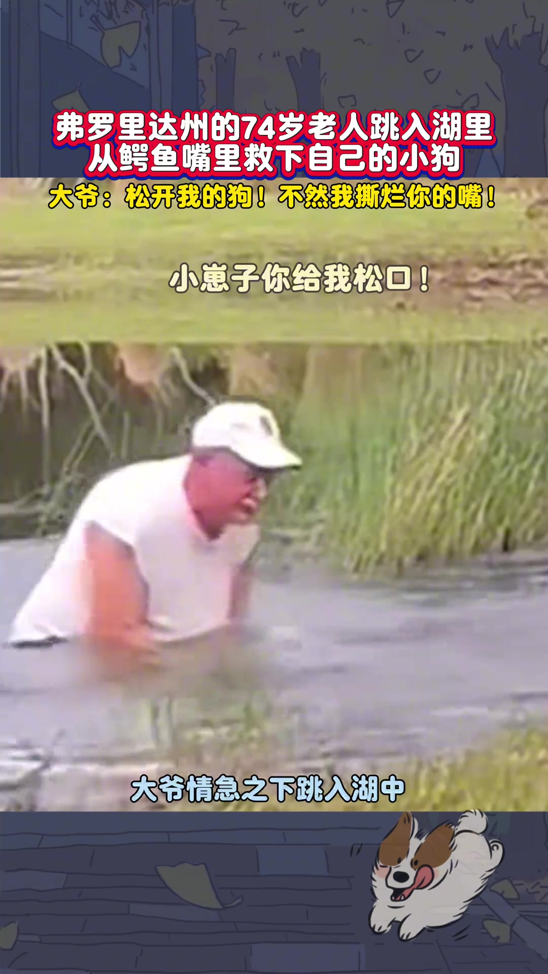 74岁大爷跳入湖中从鳄鱼嘴里救下自己的小狗