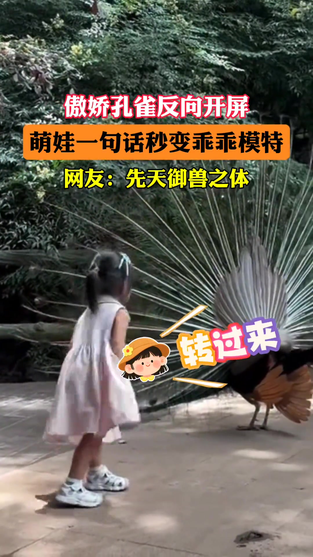 傲娇孔雀反向开屏，萌娃一句话秒变乖乖模特！