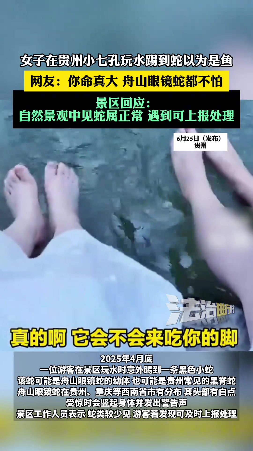 女子在贵州小七孔玩水踢到蛇以为是鱼