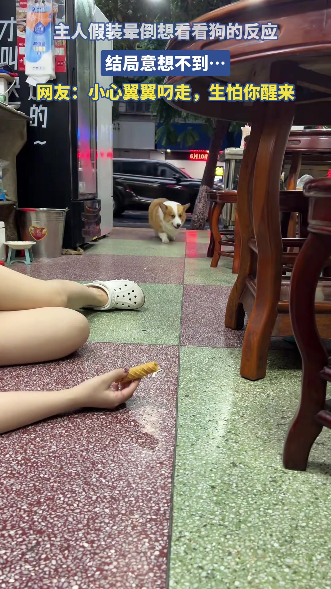 主人假装晕倒想看看狗的反应，结局意想不到