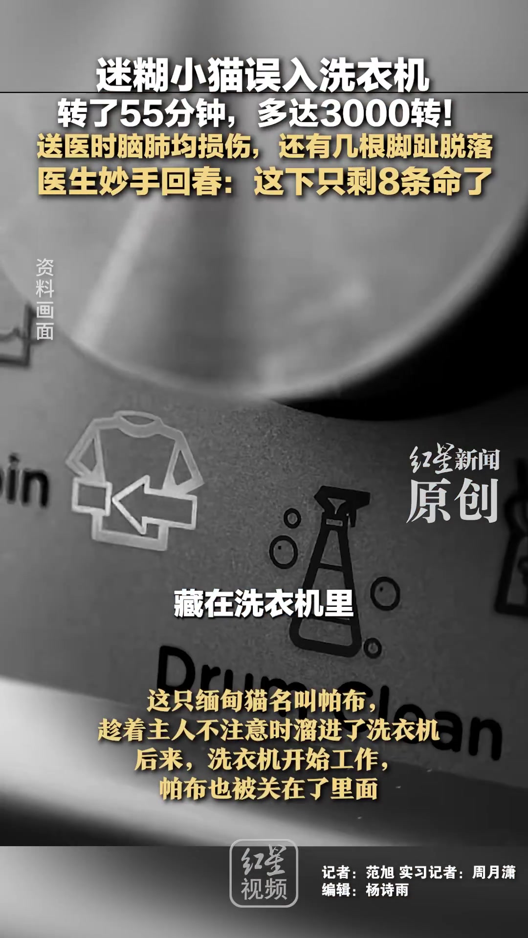 小猫误入洗衣机转了55分钟3000转