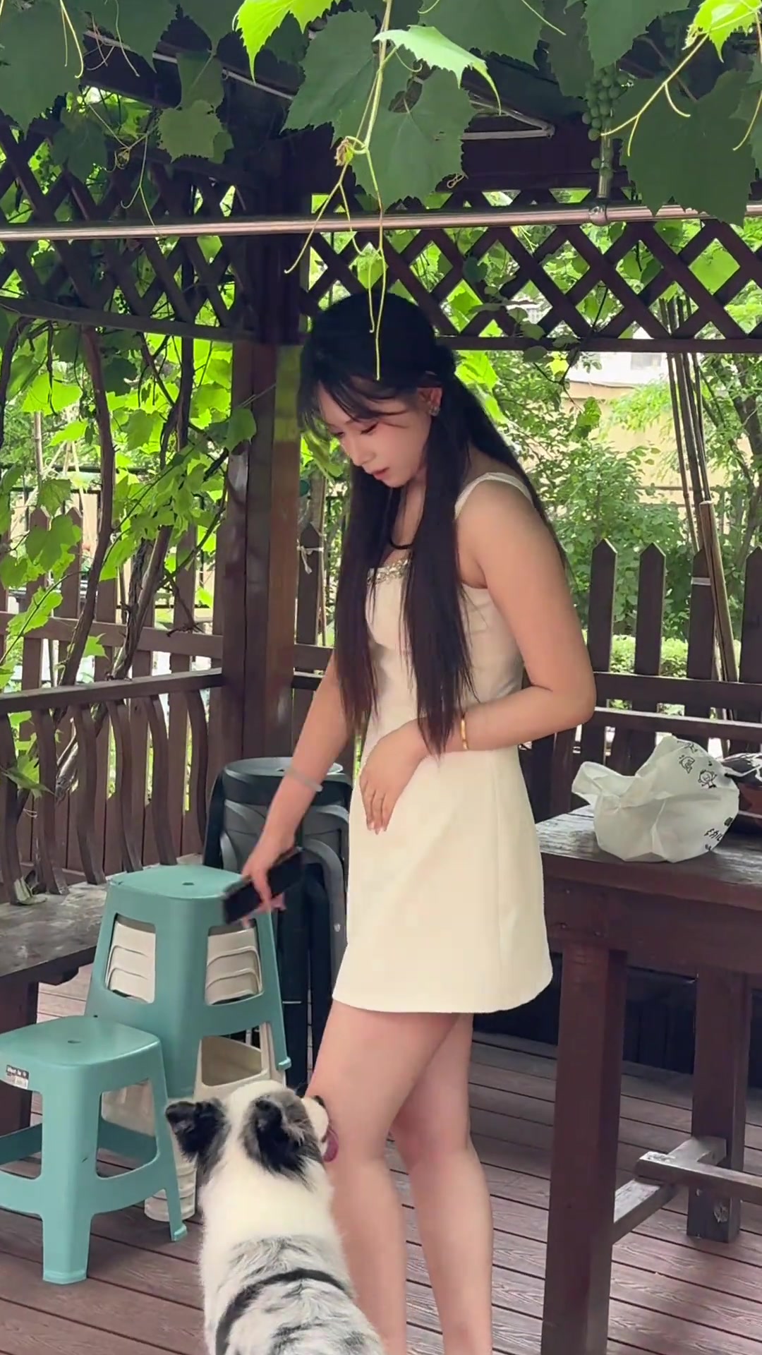 狗子是只挑女生的腿舔吗！