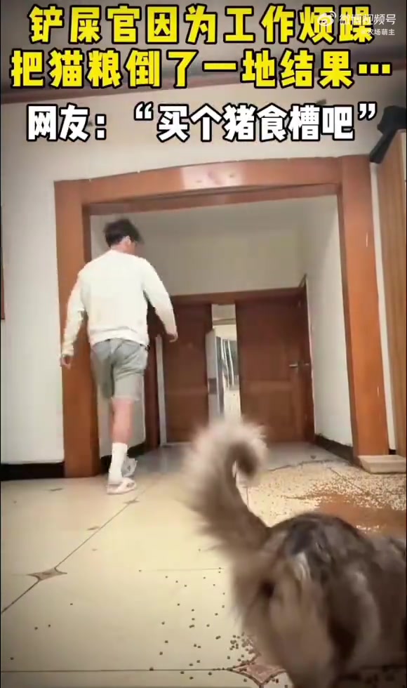 铲屎官倒猫粮泄愤！结果笑喷