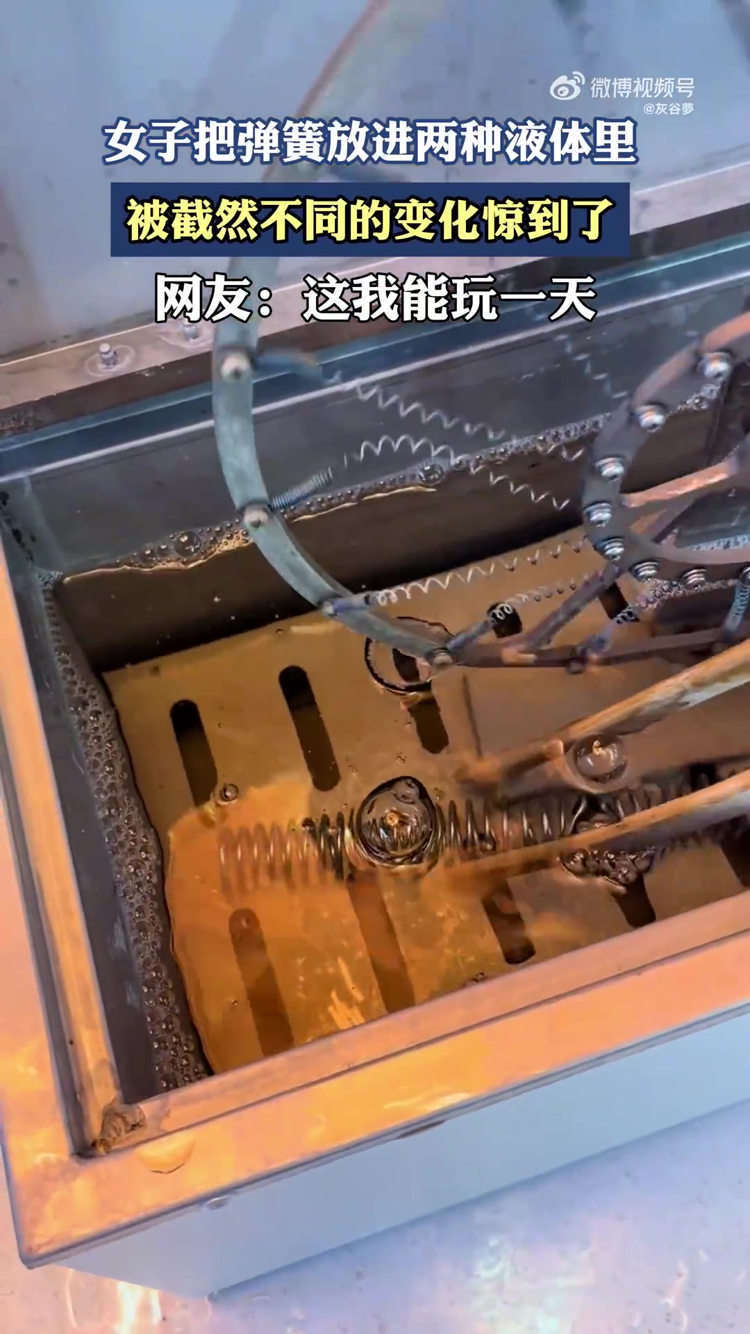 女子把弹簧放进两种液体里，被截然不同的变化惊到了