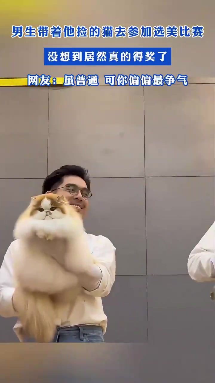 男生带着他捡的猫去参加选美比赛，没想到居然真的得奖了