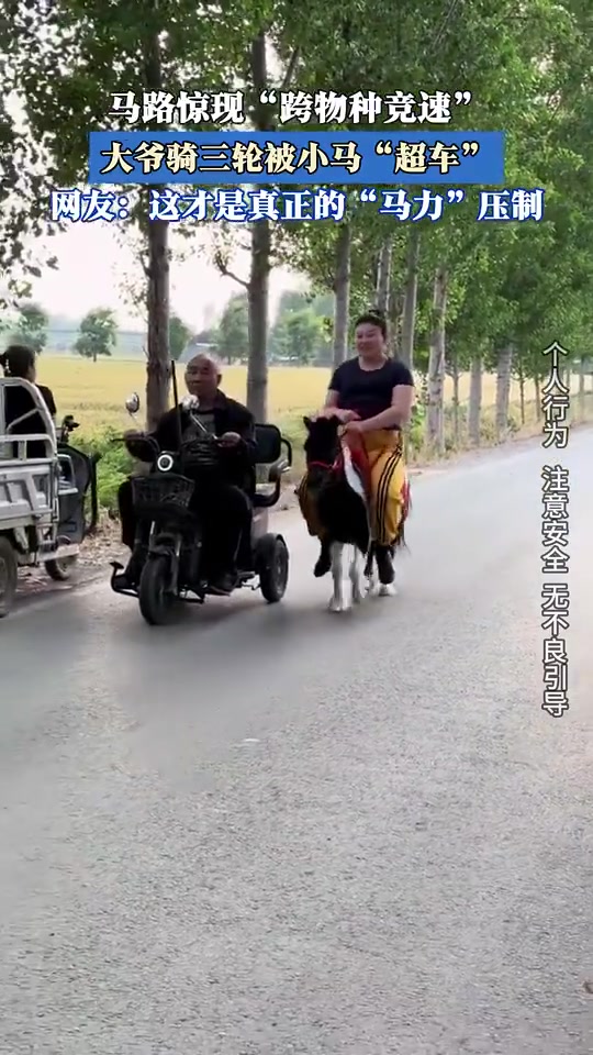 大爷骑三轮被小马“超车”，这才是真正的“马力”压制！