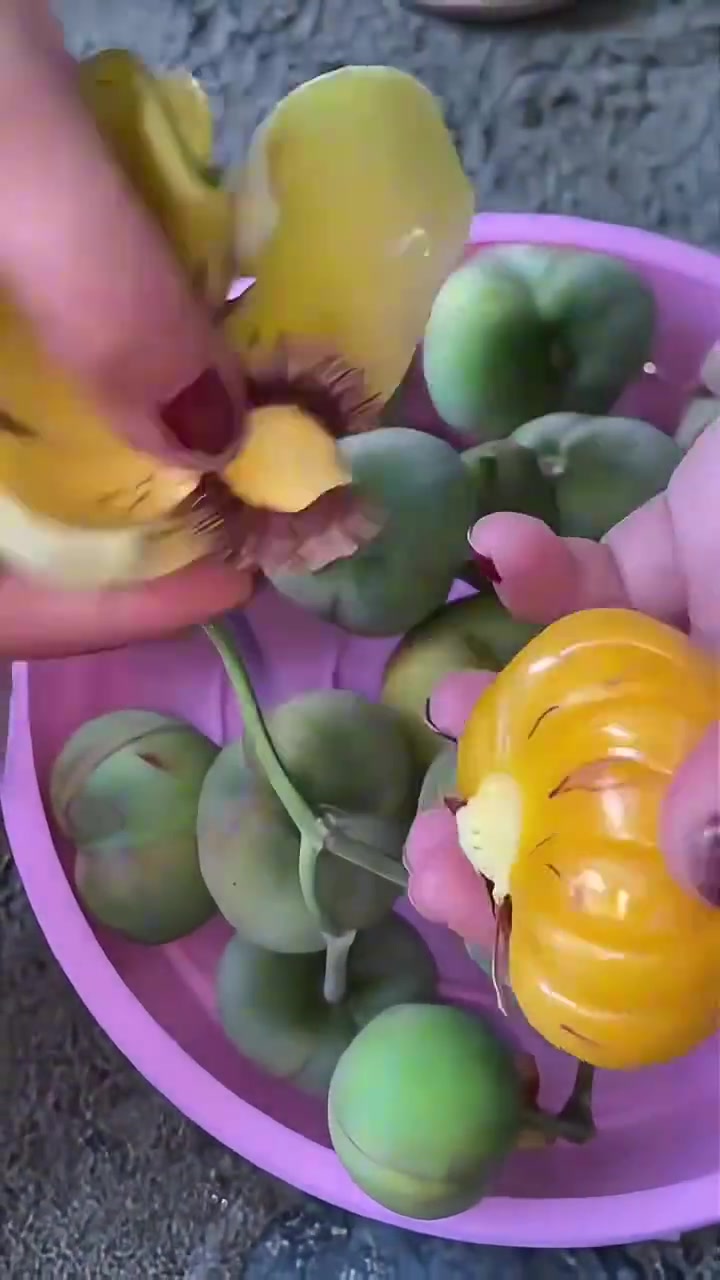 第一次见这个奇葩水果，是因为不好吃所以在中国很少见吗