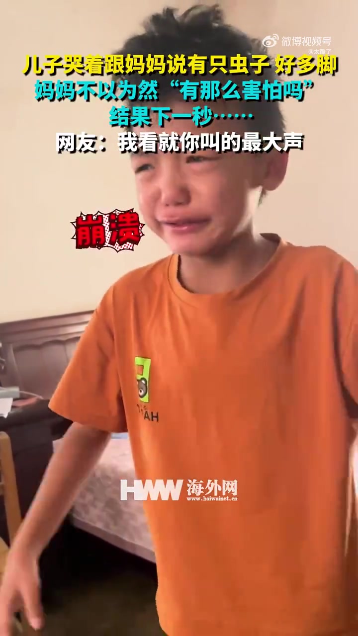 儿子哭着跟妈妈说有只虫子好多脚