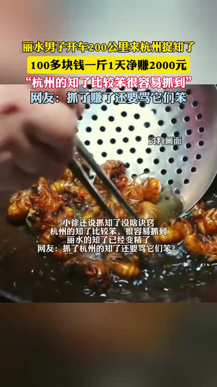 男子跑到杭州抓知了1天净赚2000元