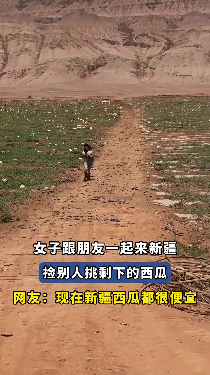 女子跟朋友一起来新疆,捡别人挑剩下的西瓜