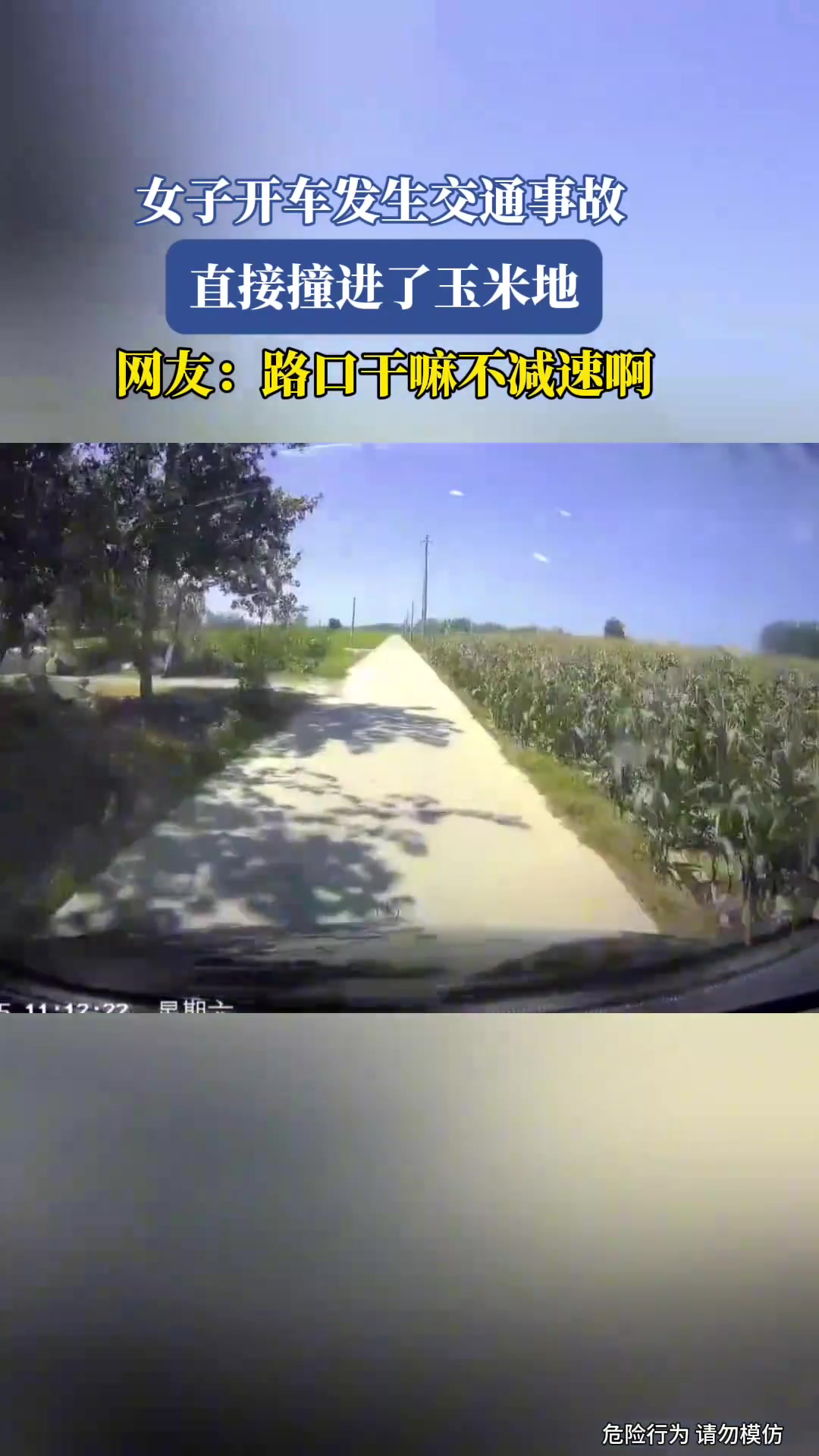 女子开车发生交通事故，直接撞进了玉米地