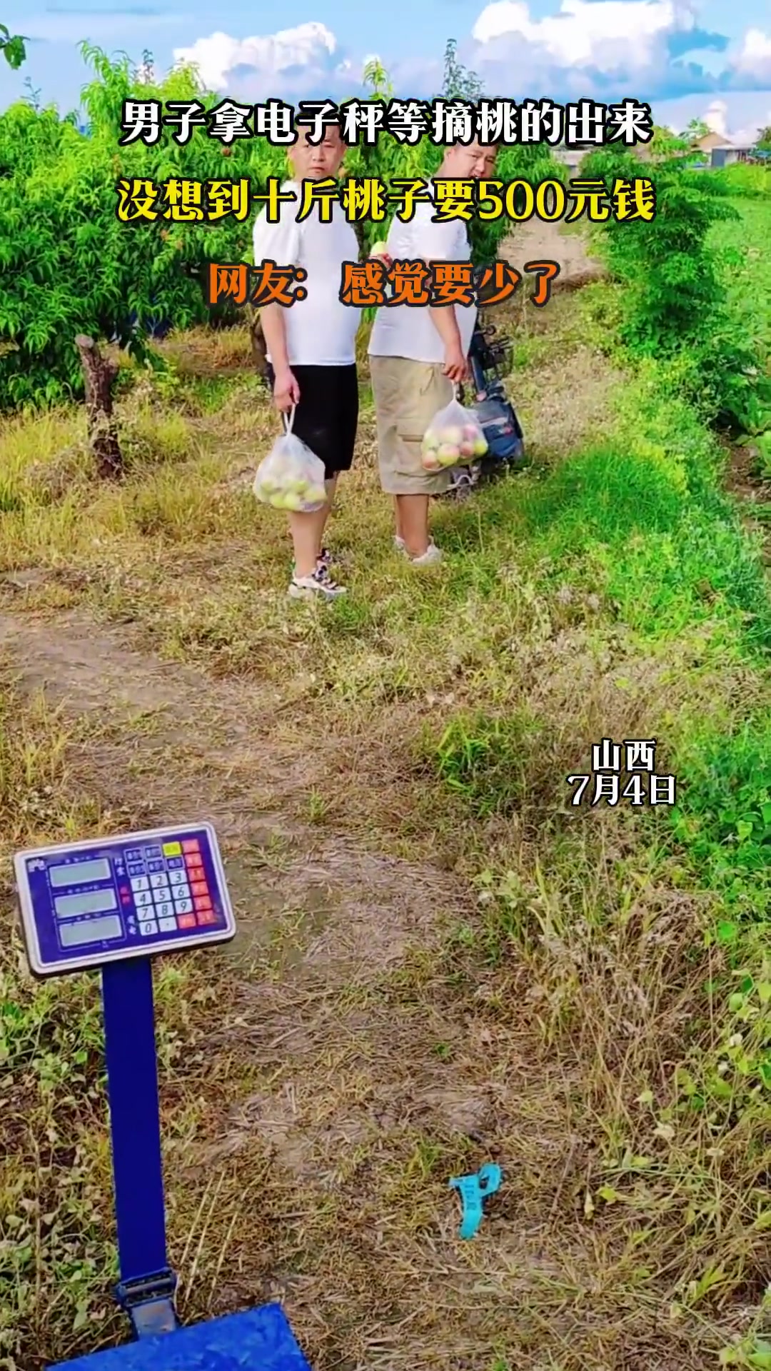 男子拿电子秤等摘桃的出来，没想到十斤桃子要500元钱！