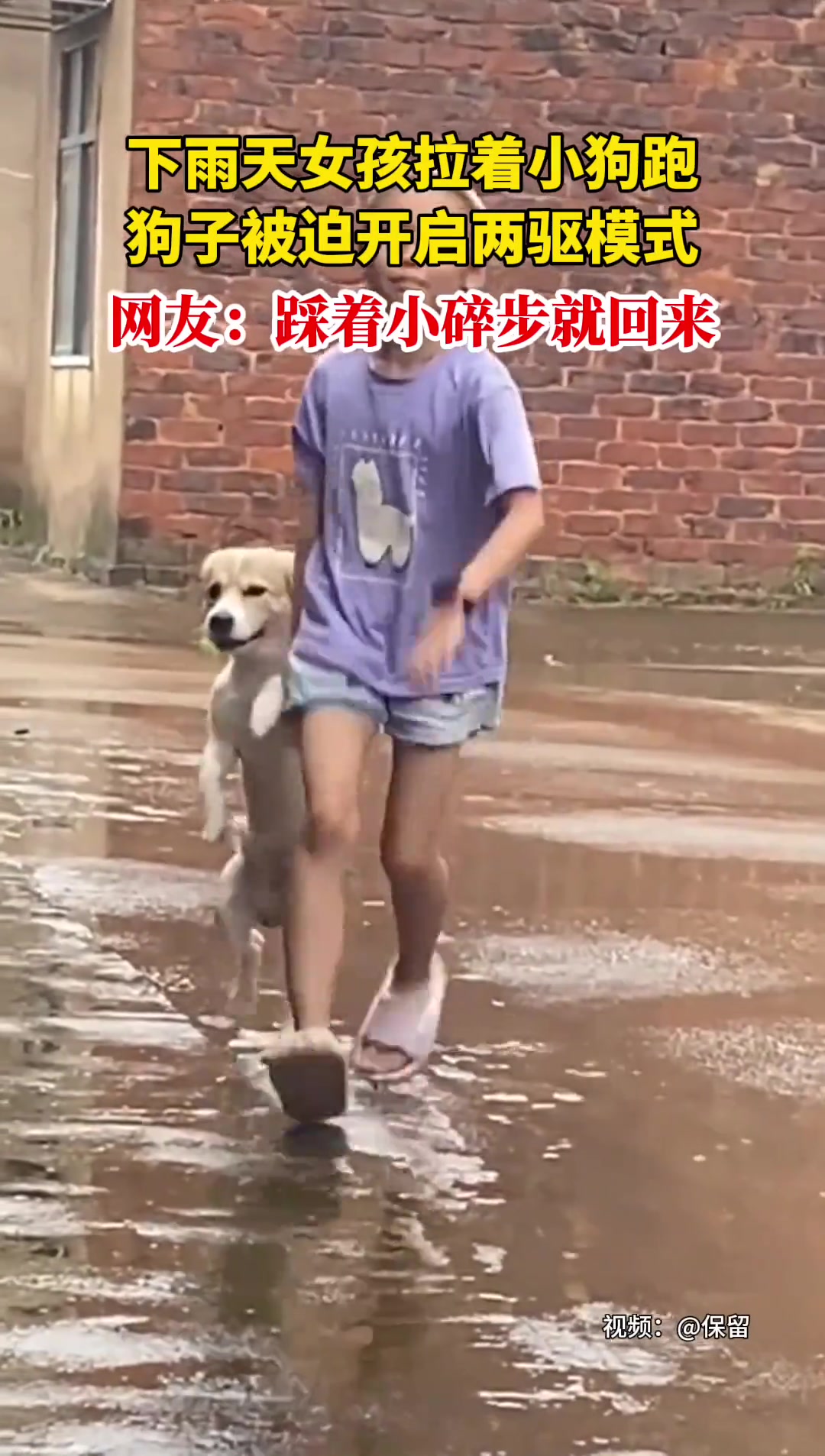 下雨天，女孩拉着狗狗一路小跑