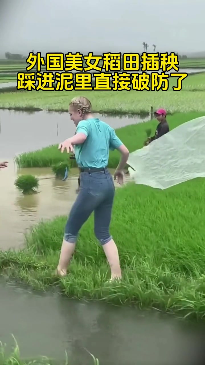 外国美女体验插秧,踩进泥里直接破防了