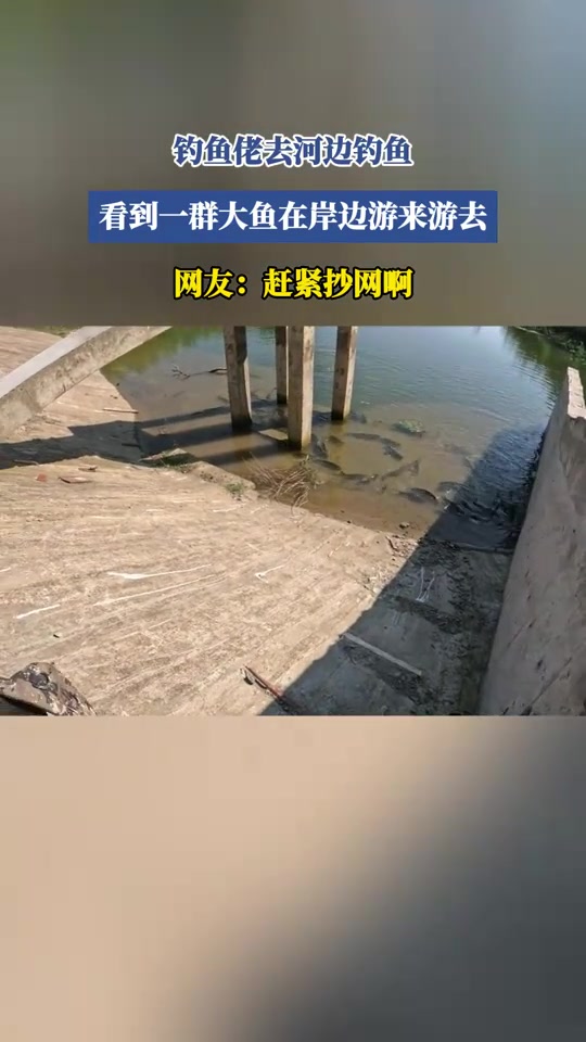 钓鱼佬去河边钓鱼，看到一群大鱼在岸边游来游去