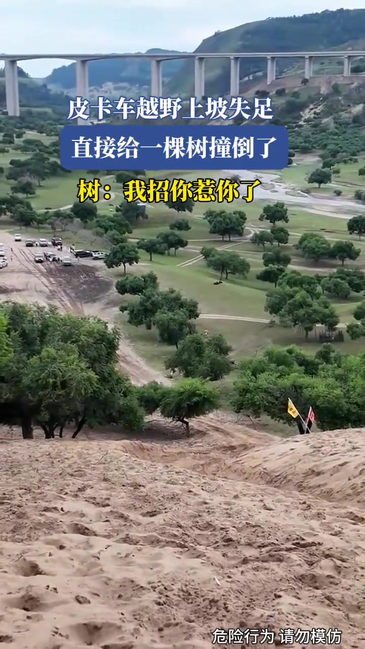 皮卡车越野上坡失足，直接给一棵树撞倒了
