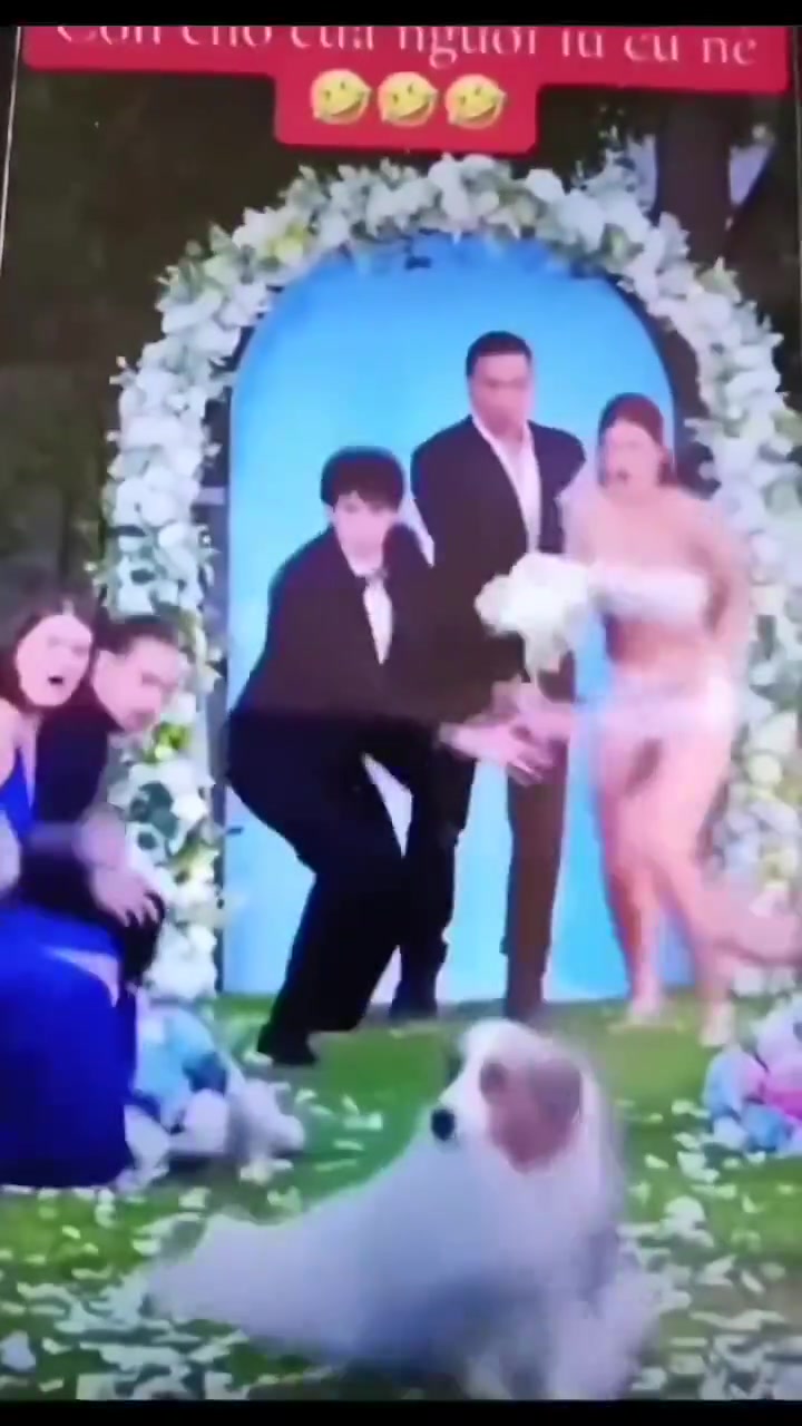 婚礼现场新娘被狗咬掉裙子，直接当众走光！