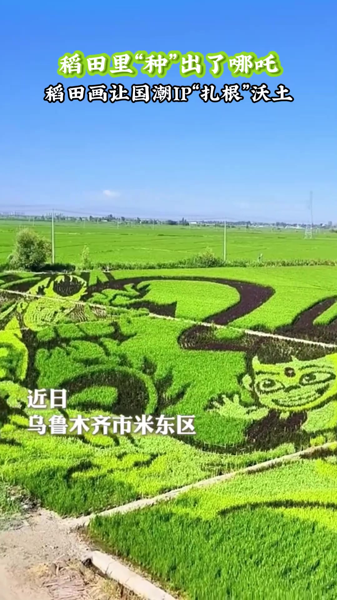 稻田里“种”出了哪吒，稻田画让国潮IP“扎根”沃土
