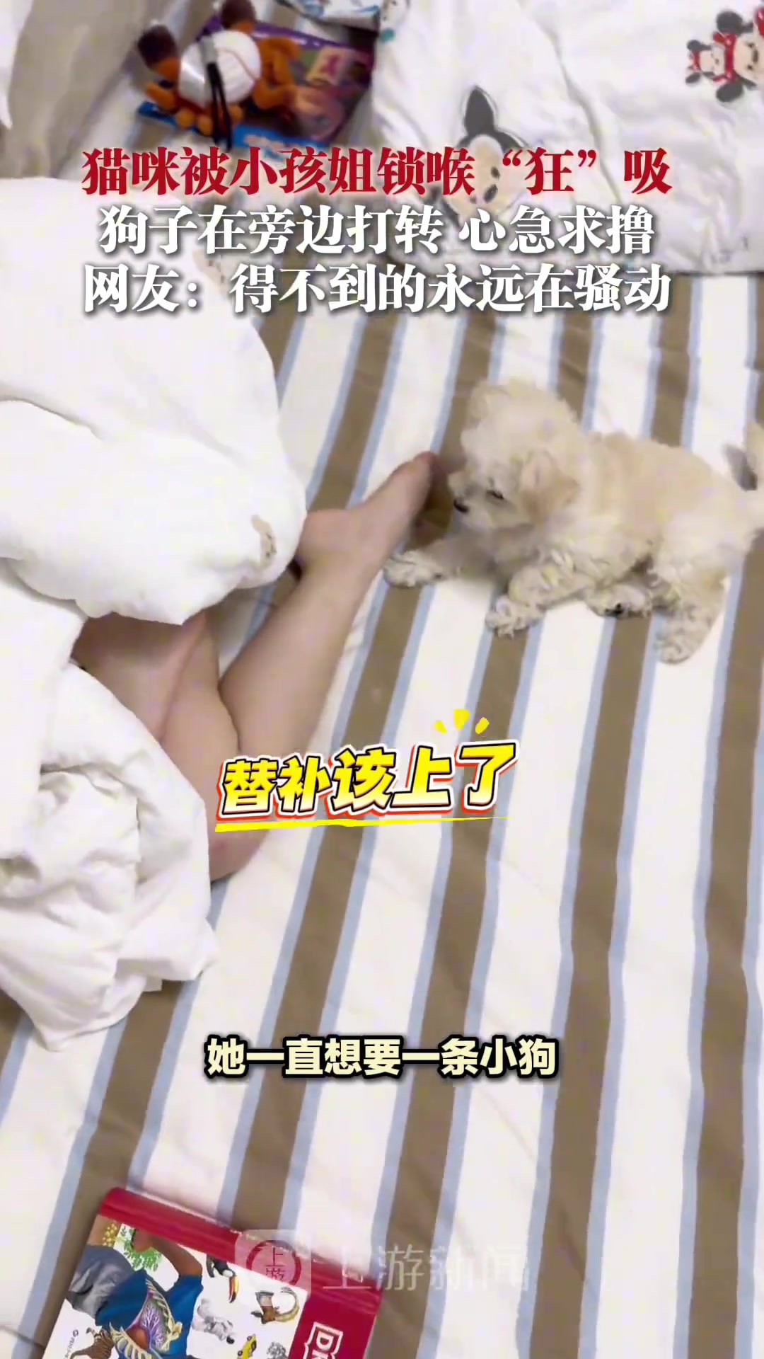 猫咪被小孩姐锁喉“狂”吸，狗子在旁边打转，心急求撸