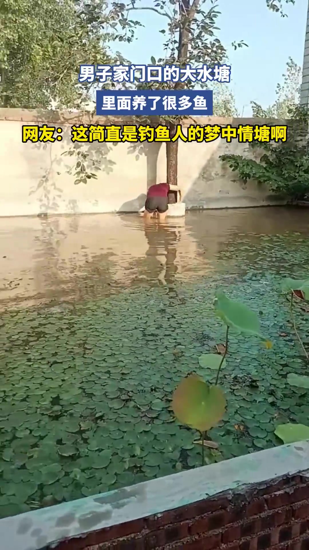 男子家门口的大水塘，里面养了很多鱼！