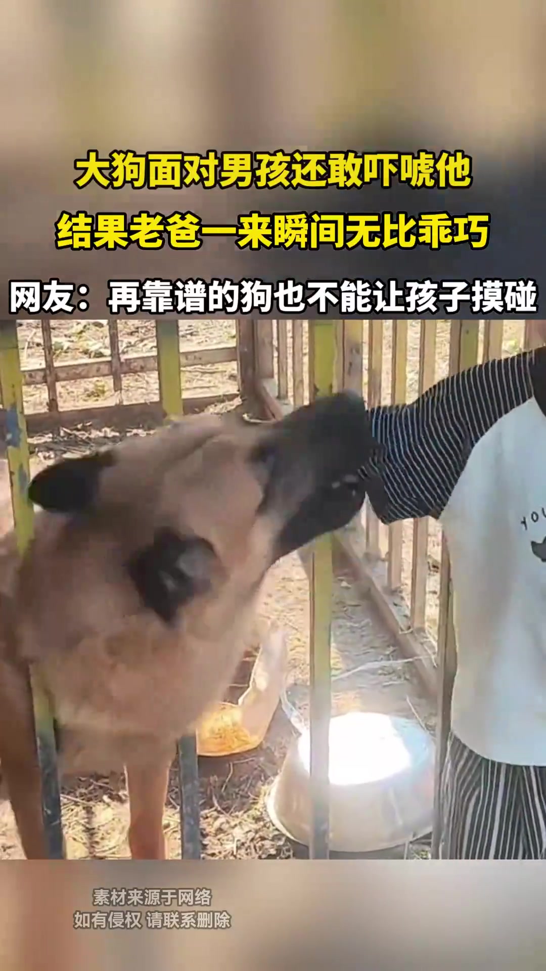 大狗面对男孩还敢吓唬他，结果老爸一来瞬间无比乖巧！