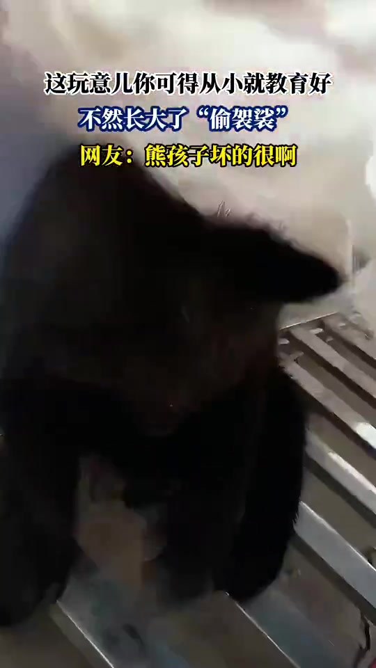 这玩意儿你可得从小就教育好，不然长大了“偷袈裟”