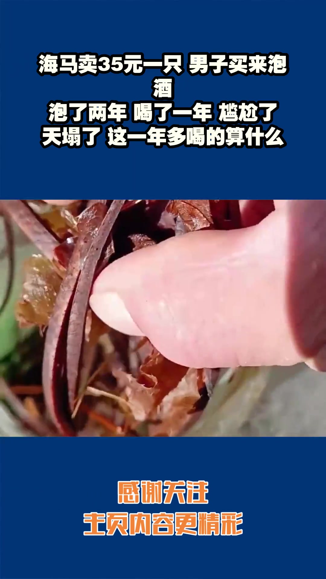 海马卖35元一只男子买来泡酒，泡了两年