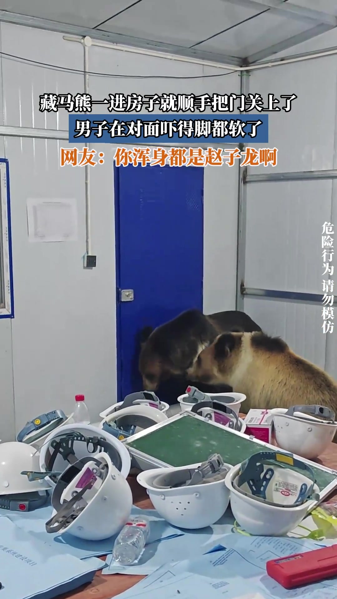 藏马熊一进房子就顺手把门关上了，男子在对面吓得脚都软了