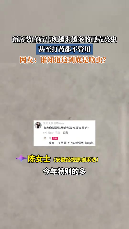 新房装修后出现越来越多的硬壳亮虫，甚至打药都不管用