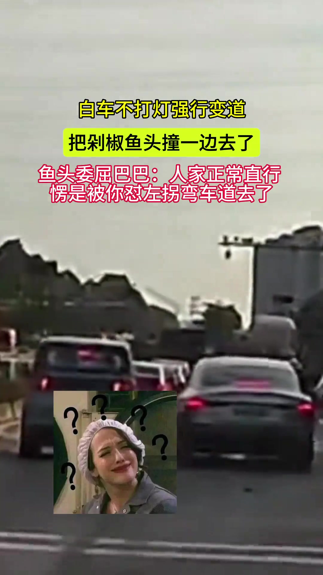 可怜的剁椒鱼头一下子被撞到左拐弯车道去了