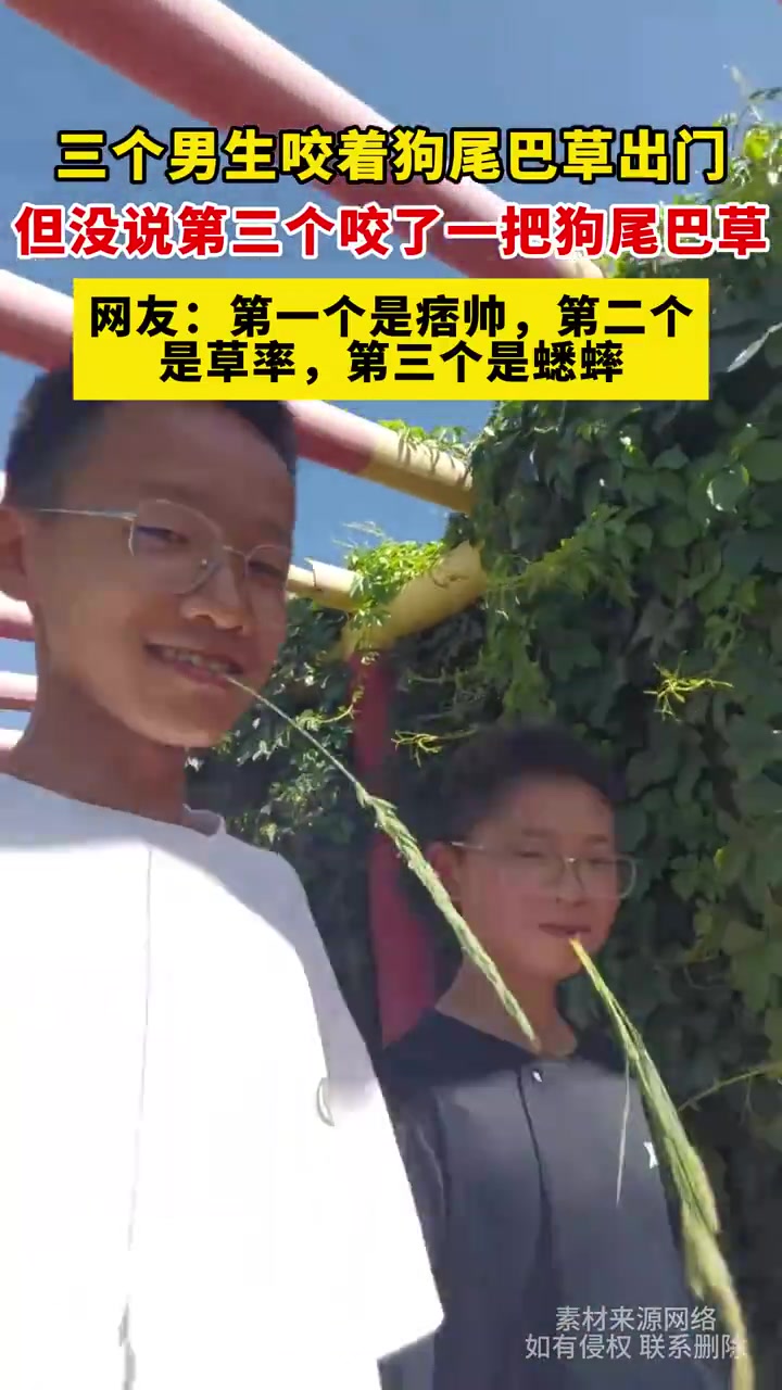 三男生咬狗尾巴草出门造型各异