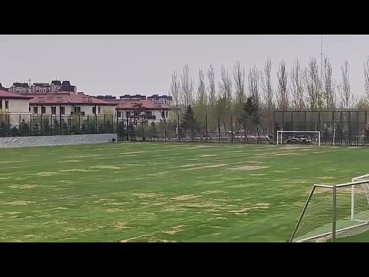 猪突猛进网传亚泰净月基地在有一头野猪在场地瞎跑