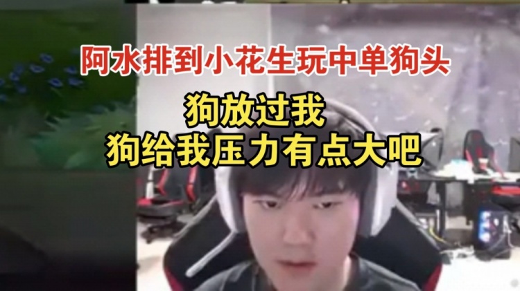 阿水排到小花生玩中单狗头：狗放过我 狗开往前给我压力有点大