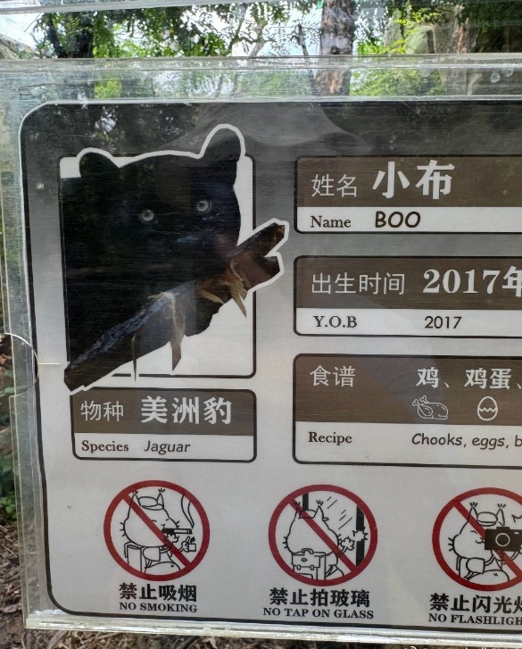 不变的是友情！Wei为老队友Breathe、Xiaohu和GALA加油：冲！