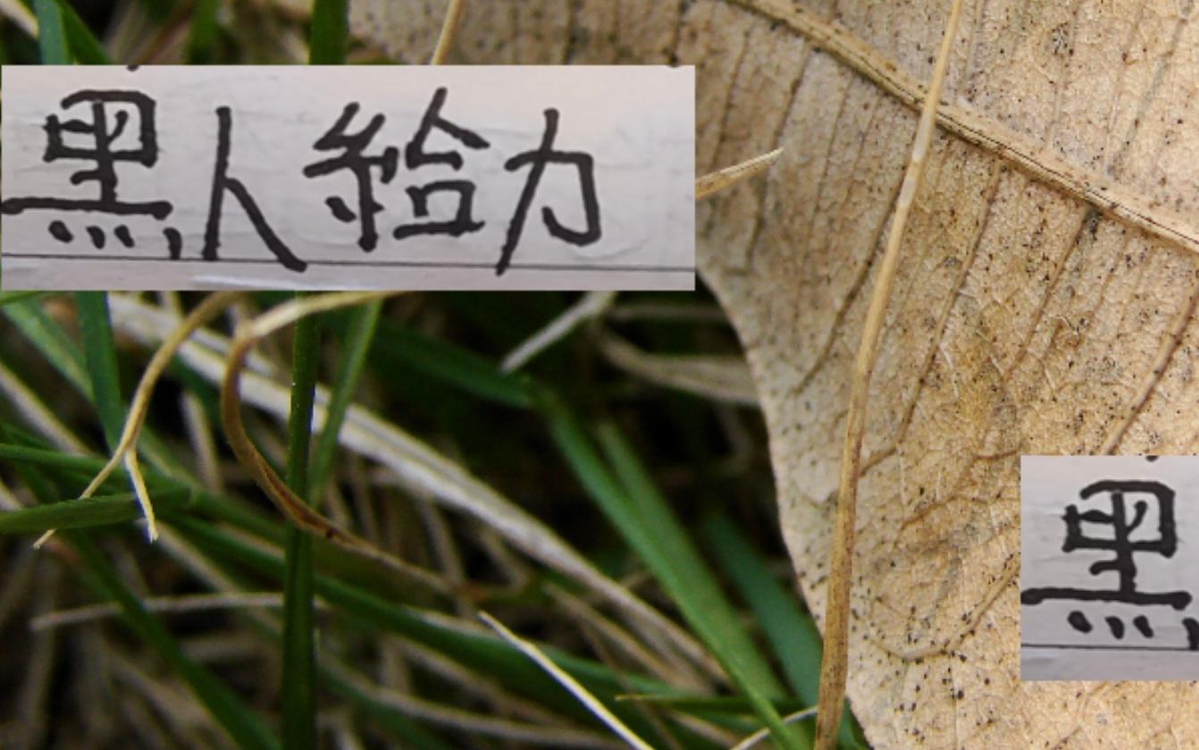 本赛季最实用黑人北京国安有发飙海港有加布里大连有马莱莱