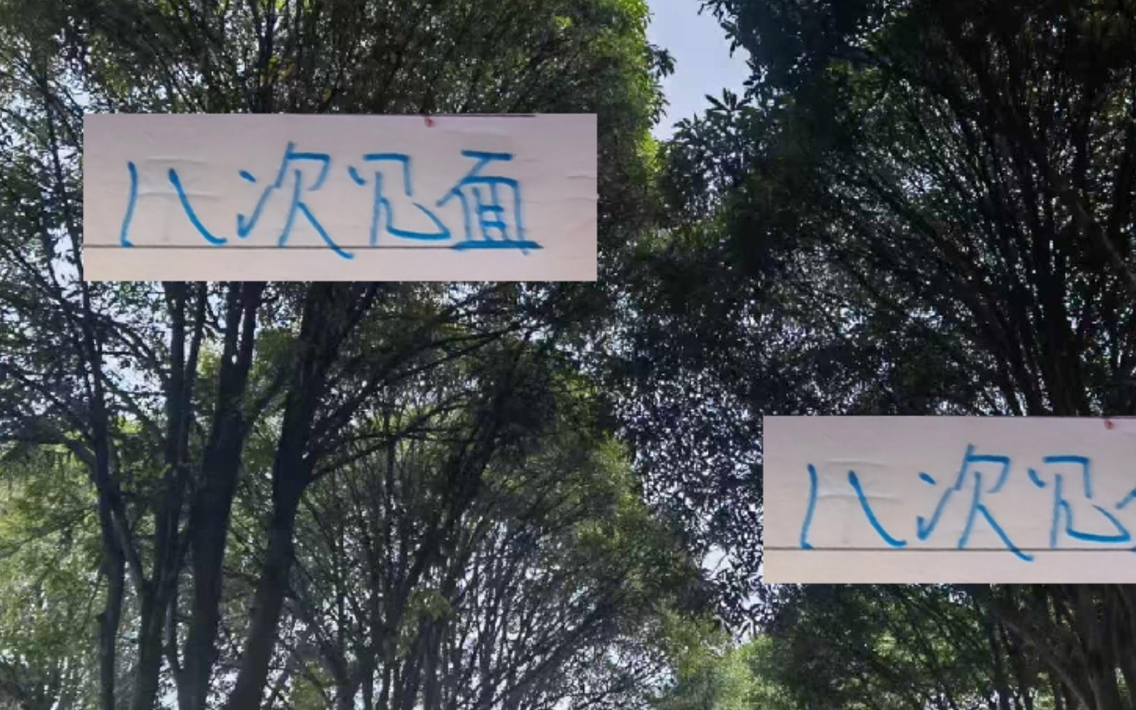 海港跟申花在债务方面一直都是0绯闻！怪不得这两年能8次见面