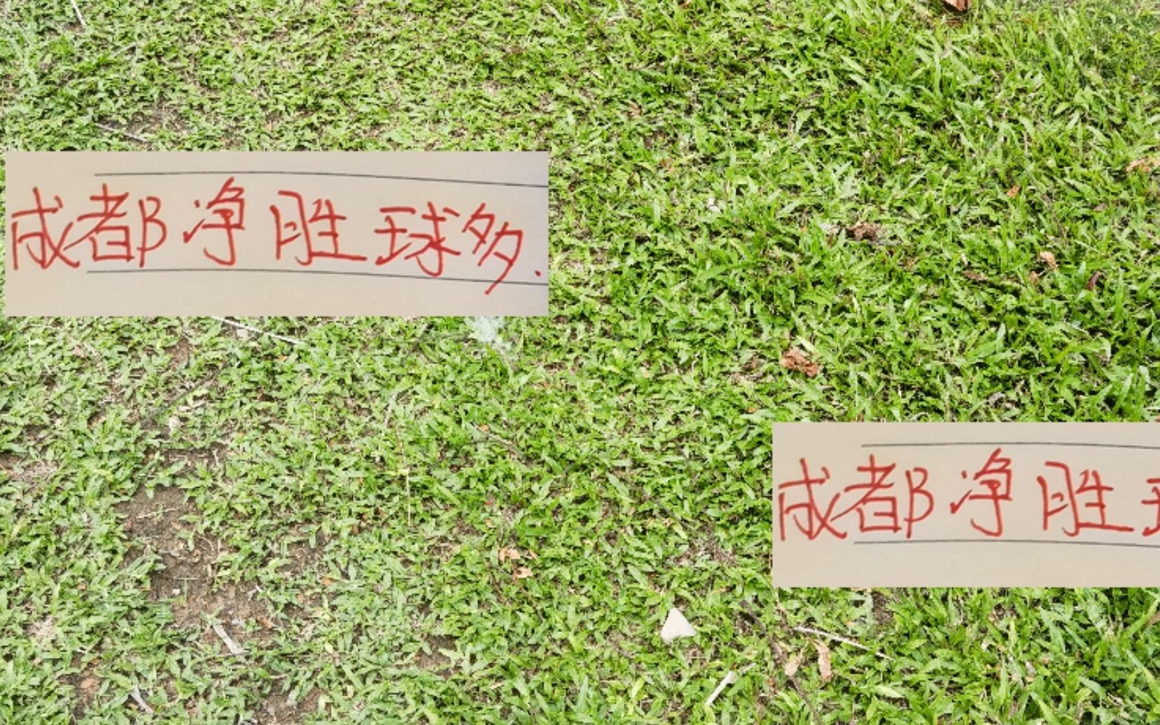 中超前4！成都蓉城进球最少但净胜球瑶瑶领先申花海港北京国安