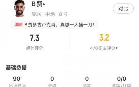 B费数据：1射门，2关键传球，丢失球权20次，评分7.3