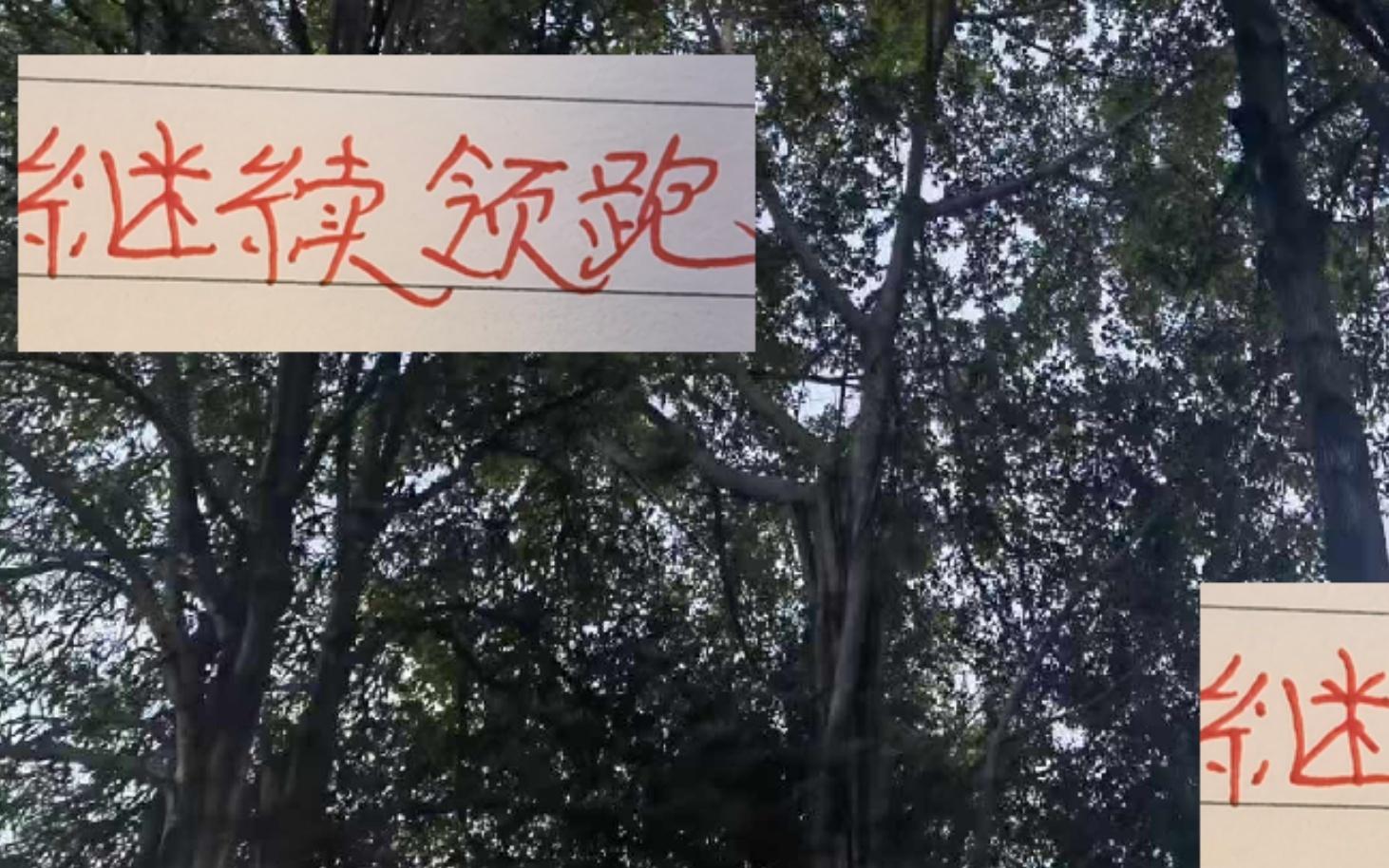 继续领跑！继续进球第一！海港差点被海牛压得喘不过气