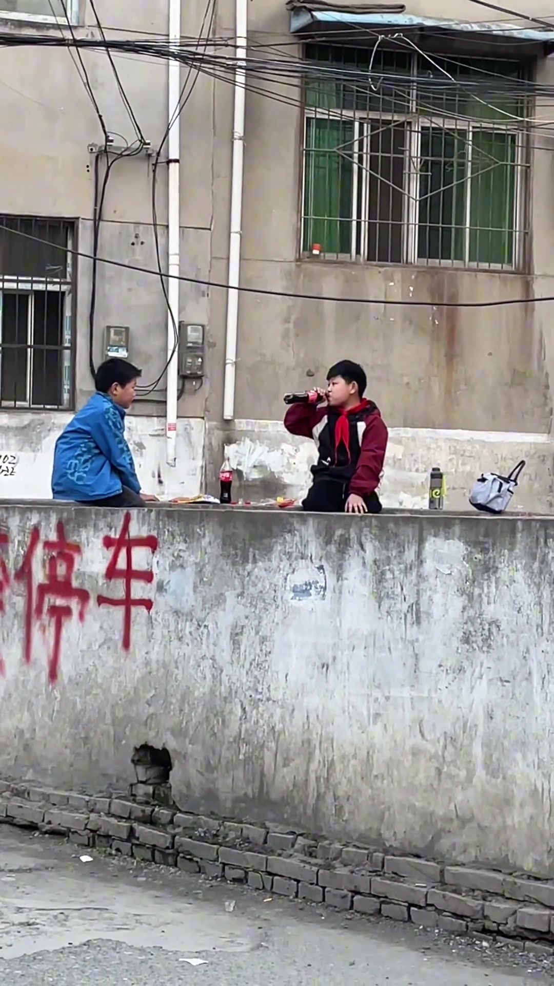 原来这就是欲买桂花同载酒，终不似少年游的意思