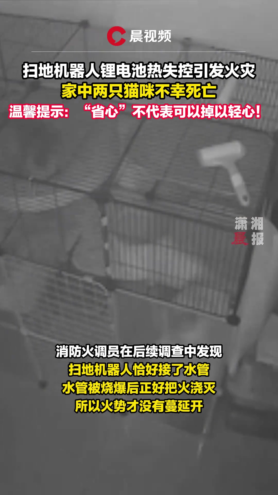 扫地机器人失控发生火灾，家里2只猫咪不幸死亡！