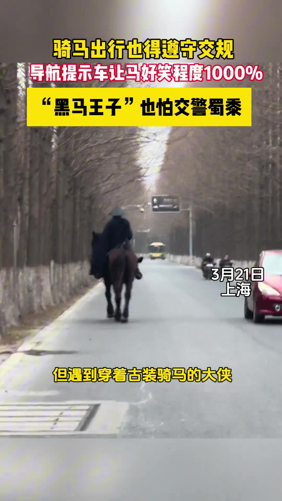 骑马出行也得遵守交规，导航提示车让马搞笑程度1000%