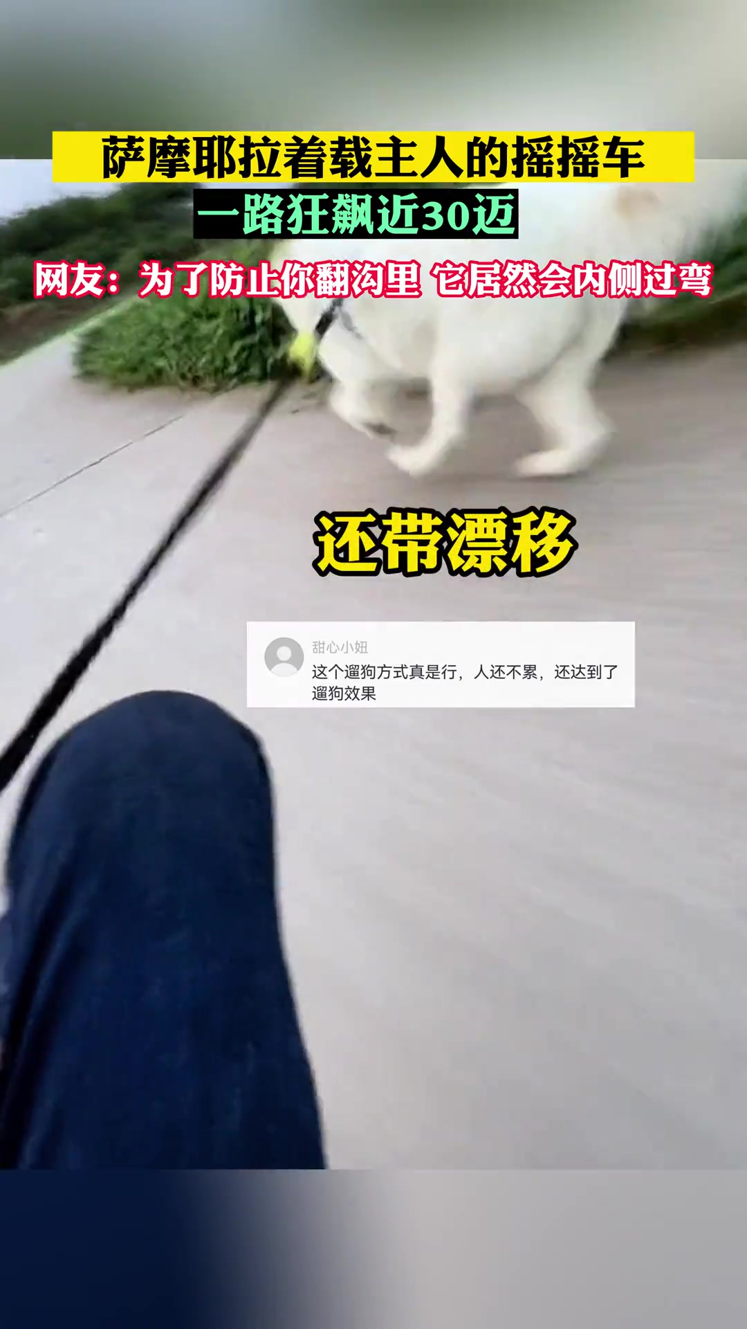 百公里油耗：一碗狗粮