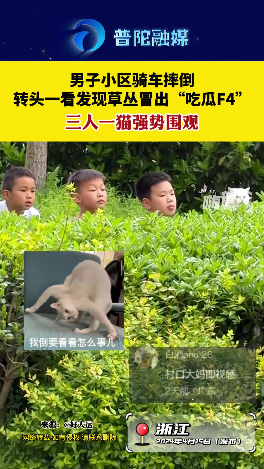 这猫怎么站的这么高？踮脚用的铲屎官吗？