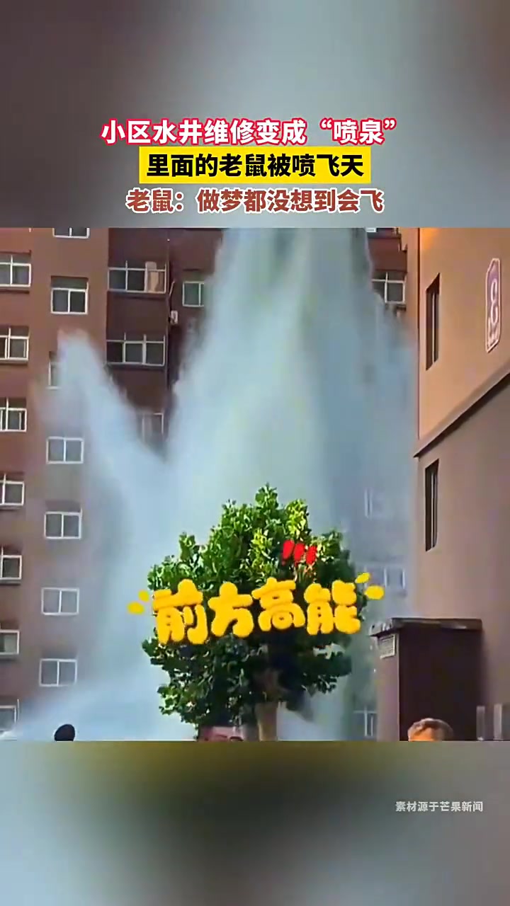 老鼠：没收到任何通知就被抄家了