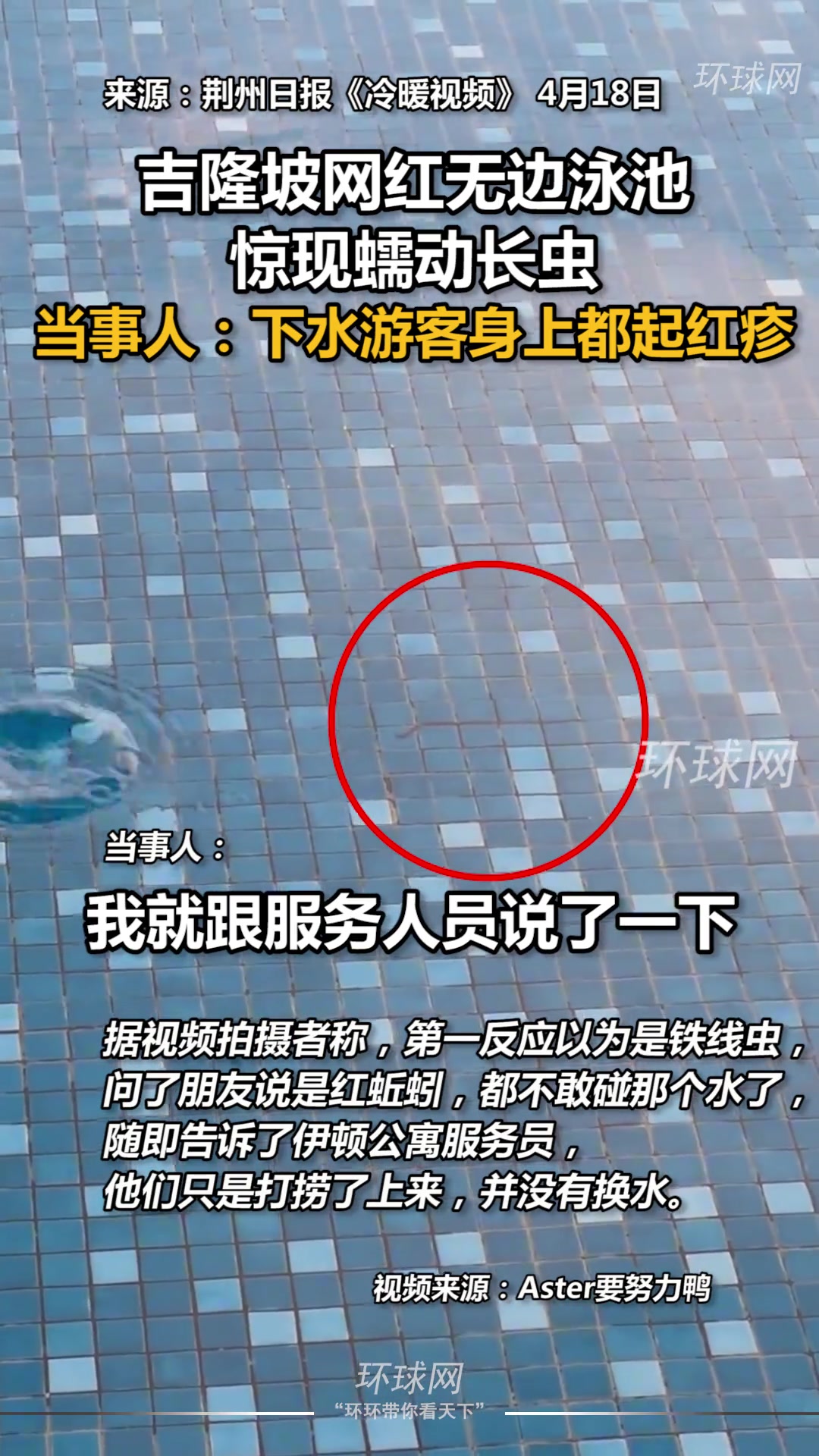 网红无边泳池惊现蠕动长虫 下水游客身上都起红疹
