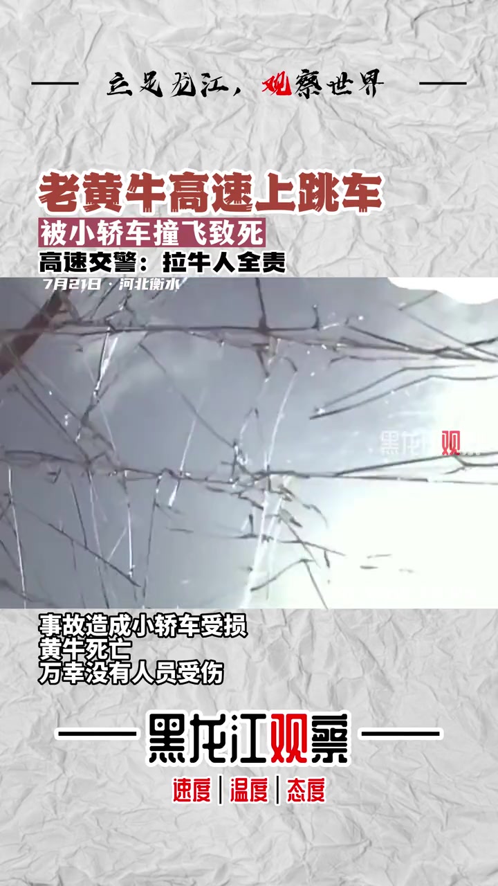 老黄牛高速上跳车 被小轿车撞飞致死