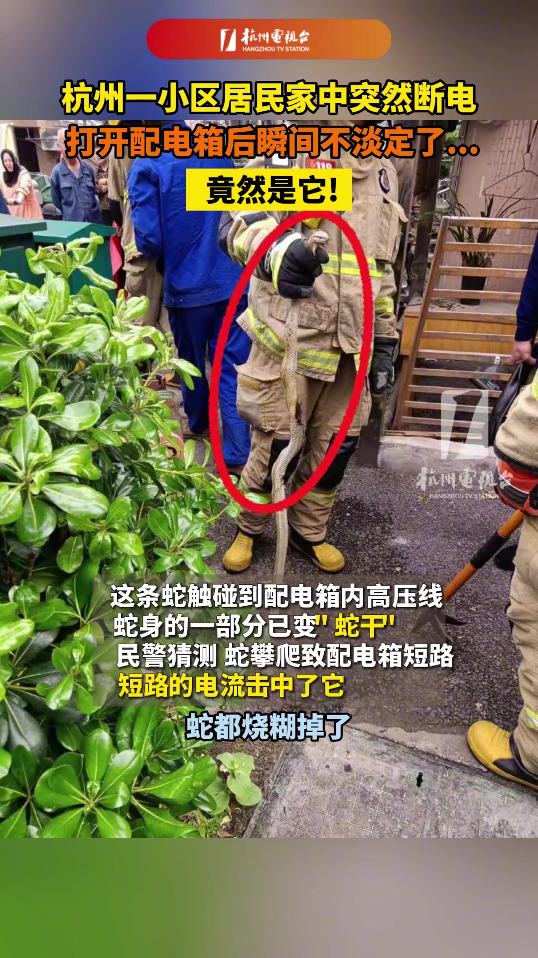 小区居民家中突然断电，打开配电箱后瞬间不淡定了！