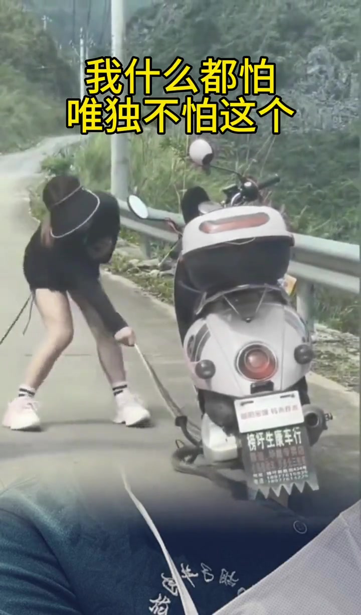 我什么都不怕就怕蛇